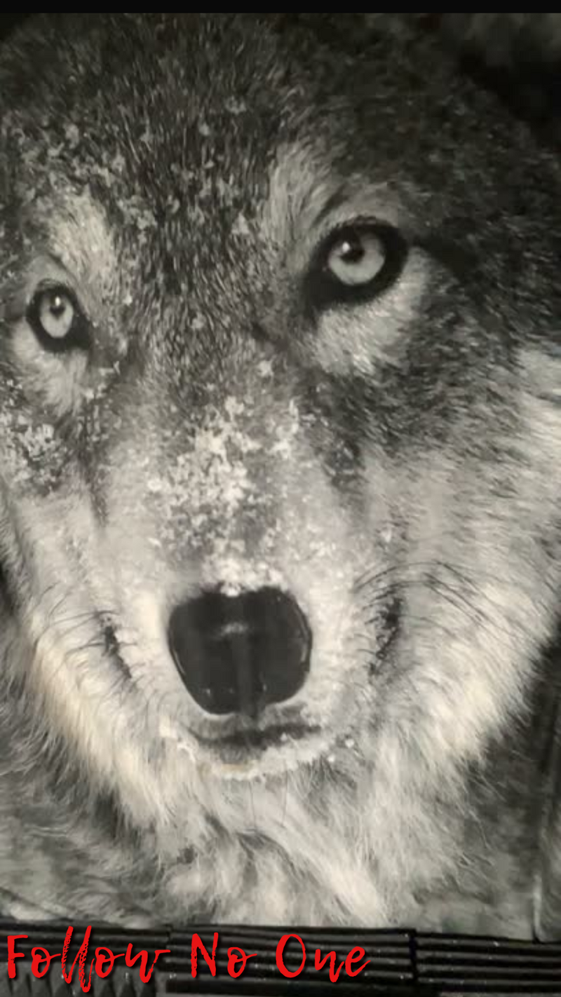 SHOUTOUT FROM THE VOCAL BOOTH!